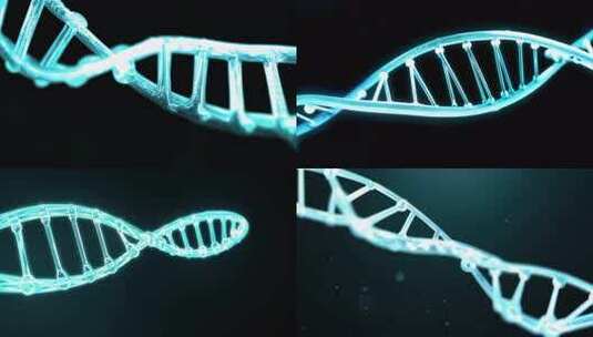 基因链遗传dna高清在线视频素材下载