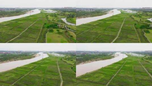 航拍渭河高清在线视频素材下载