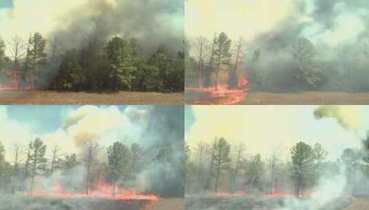 火在田野和森林中燃烧的时间流逝延时高清在线视频素材下载