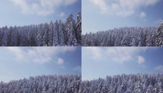 雪山森林景观高清在线视频素材下载