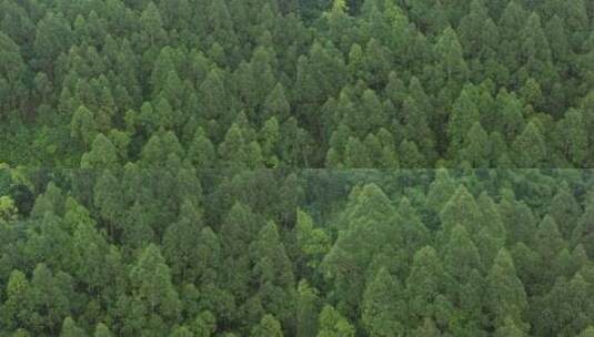 大山 树林 乡村 绿化高清在线视频素材下载