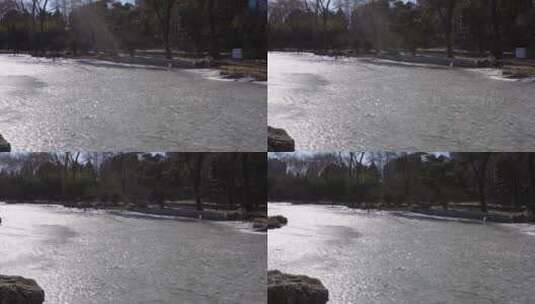 行宫紫竹院澄鲜湖冰场冰上运动高清在线视频素材下载
