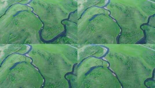 航拍绿色草甸中弯曲的河流高清在线视频素材下载
