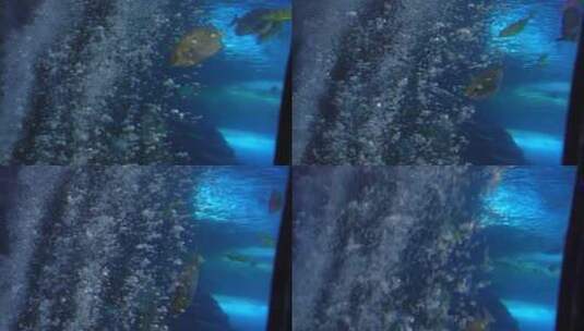 海底气泡水下世界海洋神秘高清在线视频素材下载