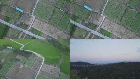 航拍农耕种植稻田农田高清在线视频素材下载
