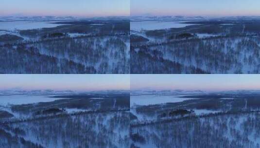 航拍内蒙雪原树林冬天雪景暮色高清在线视频素材下载