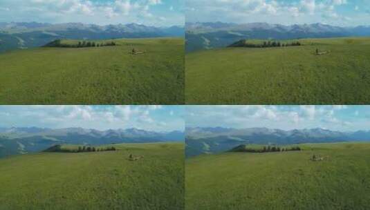 新疆那拉提草原上的牧羊人赶着羊群走在草地高清在线视频素材下载