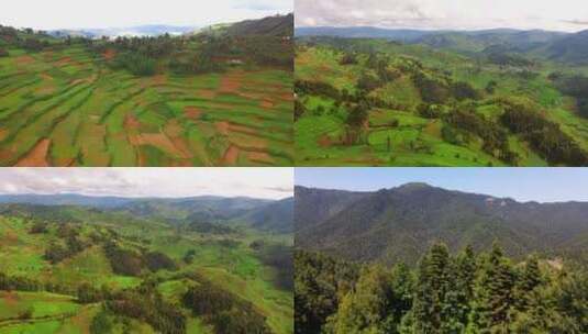 森林植物绿色水资源航拍绿水青山 (3)高清在线视频素材下载