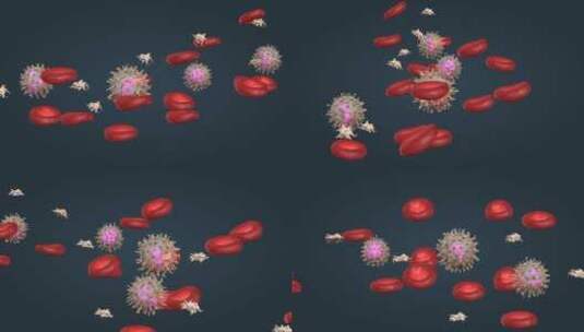 红细胞 白细胞 血小板医学微观三维动画高清在线视频素材下载