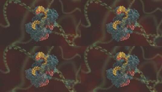 生物科学 基因编辑 DNA 基因工程 医学动画高清在线视频素材下载