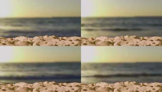 海滩沙堆中的贝壳高清在线视频素材下载