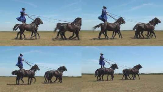 牧马人站在马背上牵引四匹马奔跑高清在线视频素材下载