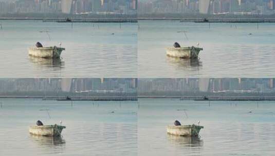 香港瞭望深圳视频深圳湾高清在线视频素材下载