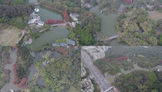 广州天河华南植物园森林航拍高清在线视频素材下载