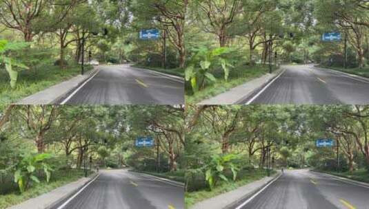 4k 森林公路特写高清在线视频素材下载