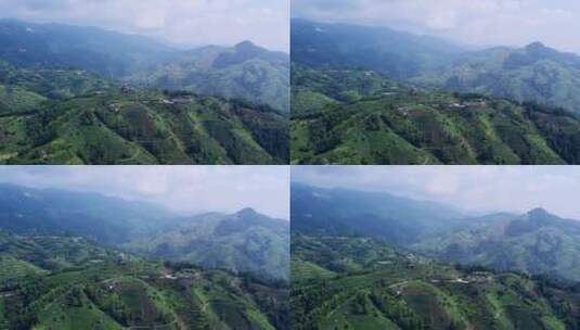 4k 航拍柳州三江布央仙人茶山茶山风景区高清在线视频素材下载