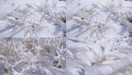 下雪 冬天 雪花高清在线视频素材下载