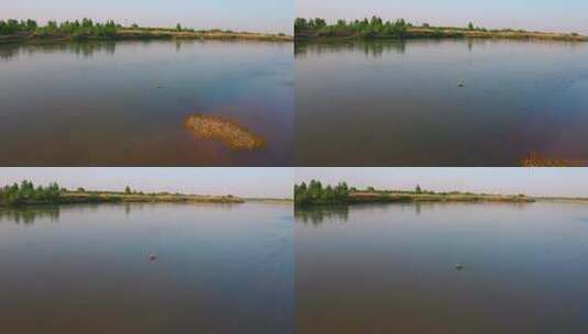 渭河两岸风光 河流 河道高清在线视频素材下载