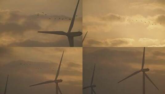 风车中的日出日落高清在线视频素材下载