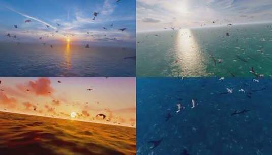 海鸥群在辽阔的海面自由翱翔高清在线视频素材下载