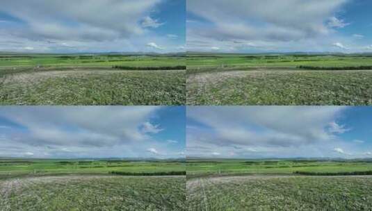 航拍种植中草药的农田彩虹高清在线视频素材下载