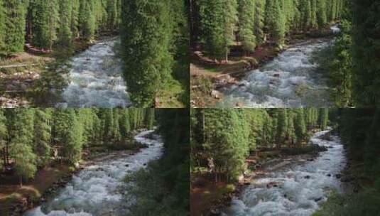 清澈的山间溪流升格高清在线视频素材下载