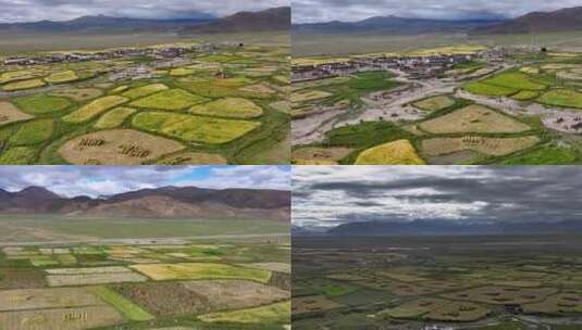 4K航拍西藏青稞田地风光高清在线视频素材下载