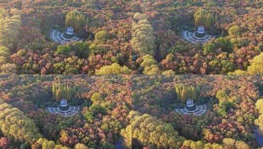 南京秋天 音乐台 中山陵风景区高清在线视频素材下载