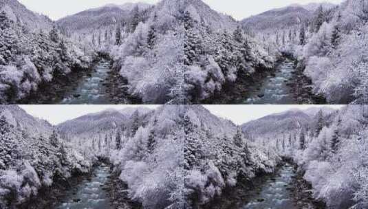 西藏林芝市巴松措景区，森林河流的雪景风光高清在线视频素材下载