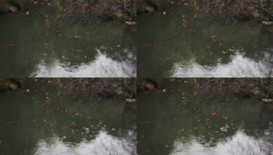 杭州西湖冬季雨天雨滴升格空镜高清在线视频素材下载