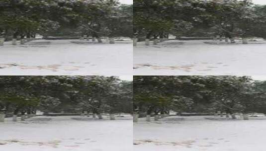 下雪的公园风景高清在线视频素材下载