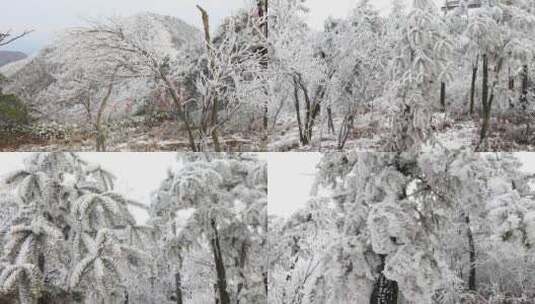 唯美雾淞高清在线视频素材下载