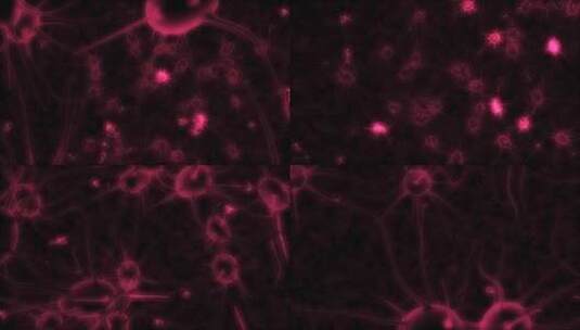 大脑神经元神经细胞活动高清在线视频素材下载