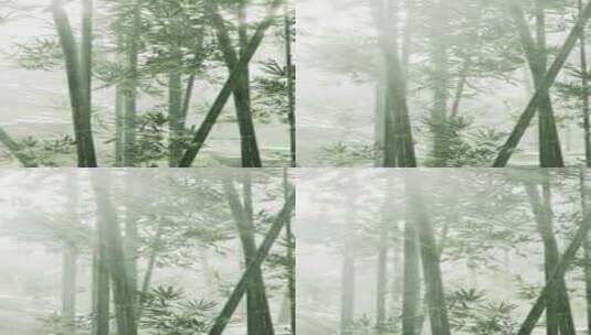 雾中的绿竹，茎叶高清在线视频素材下载