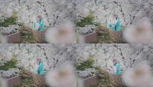 【实拍素材】戏曲樱花 园林春色高清在线视频素材下载