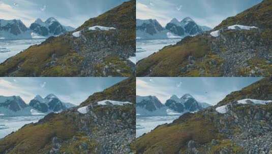 山岩苔藓与远足游客在南极景观高清在线视频素材下载