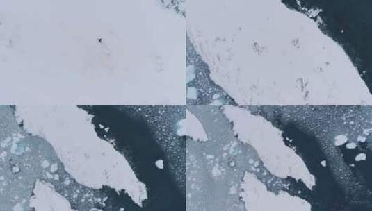 孤王企鹅雪面放大天线高清在线视频素材下载
