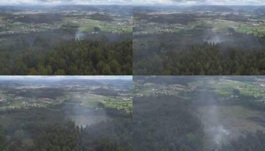 自然灾害森林火灾高清在线视频素材下载