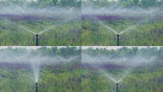 园林自动喷淋系统灌溉系统高清在线视频素材下载