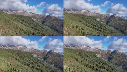 川西雪山-阿坝州若巴藏拉克山高清在线视频素材下载