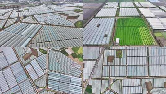 4k航拍现代农业基地  农业产业乡村振兴高清在线视频素材下载