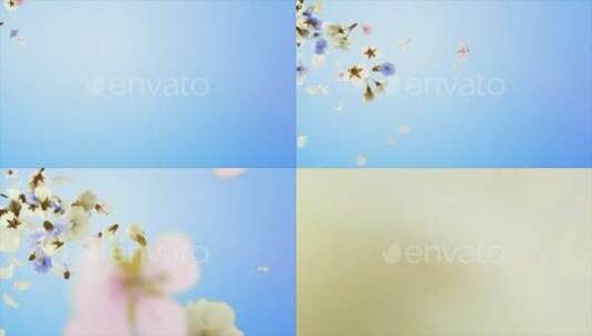 彩色浪漫花瓣标志动画LOGO展示AE模板高清AE视频素材下载