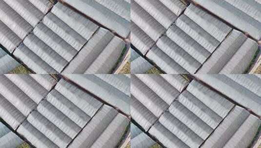航拍农业大棚种植基地高清在线视频素材下载