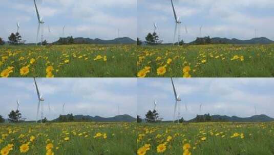 微风吹动户外野花唯美空镜风车4k视频高清在线视频素材下载