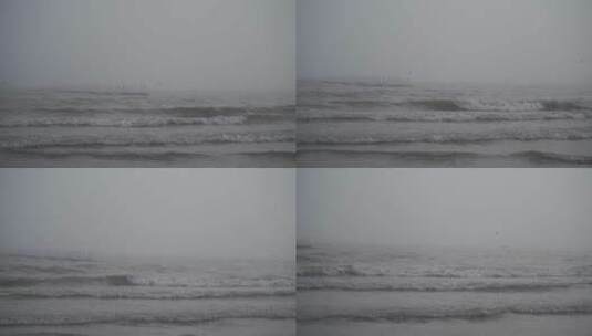 大海飞鸟海面海鸟捕鱼抓鱼阴天海边雨天雾天高清在线视频素材下载