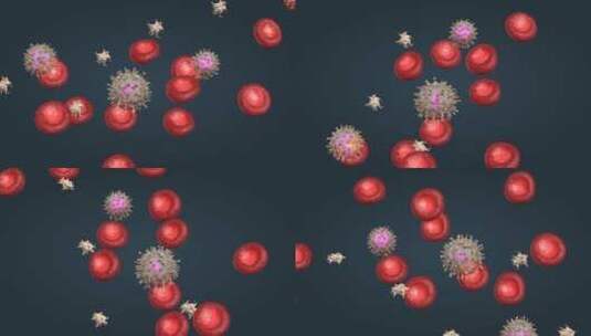 三维血液 红细胞 白细胞 血小板动画高清在线视频素材下载