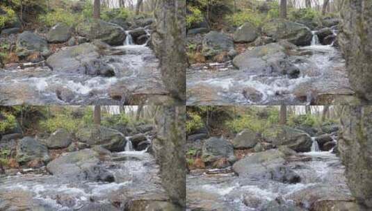 森林山泉溪水河流高清在线视频素材下载
