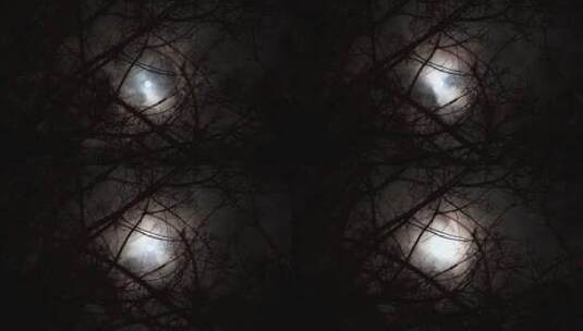 透过森林看到的云朵与月亮  晚上的月亮高清在线视频素材下载
