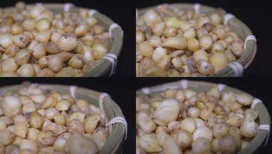 四川珍珠苦藟头小蒜团葱小根蒜野葱小蒜头高清在线视频素材下载