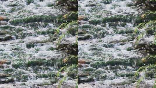 清澈的溪水高清在线视频素材下载